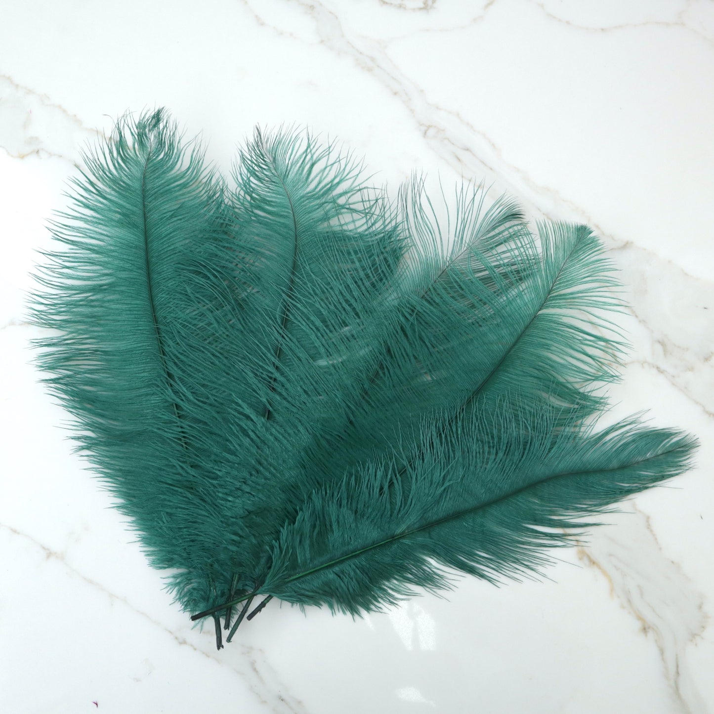 5 pcs Ostrich Feathers Dark Green