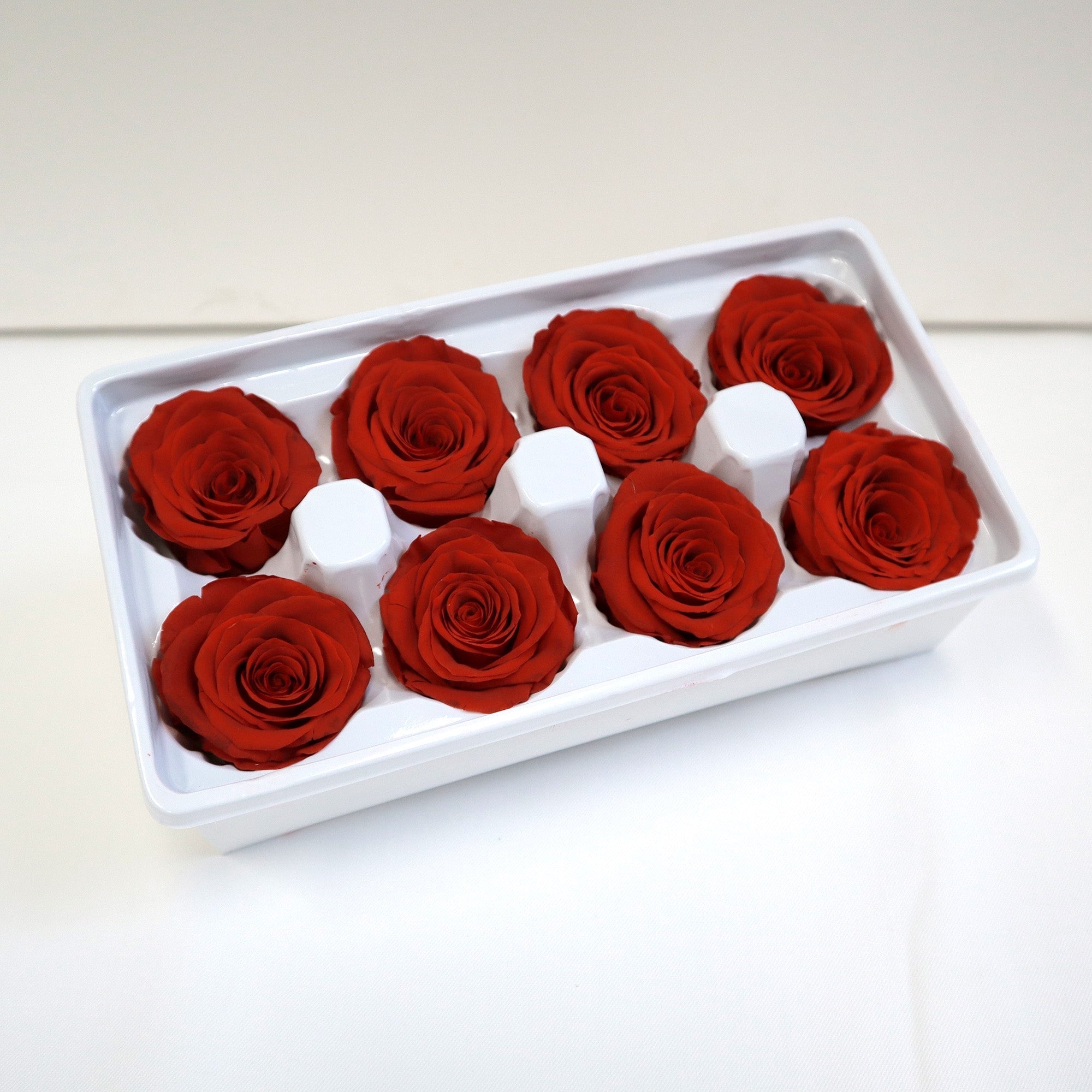 Preserved Flower – Page 11 – Floral Forest Wholesale