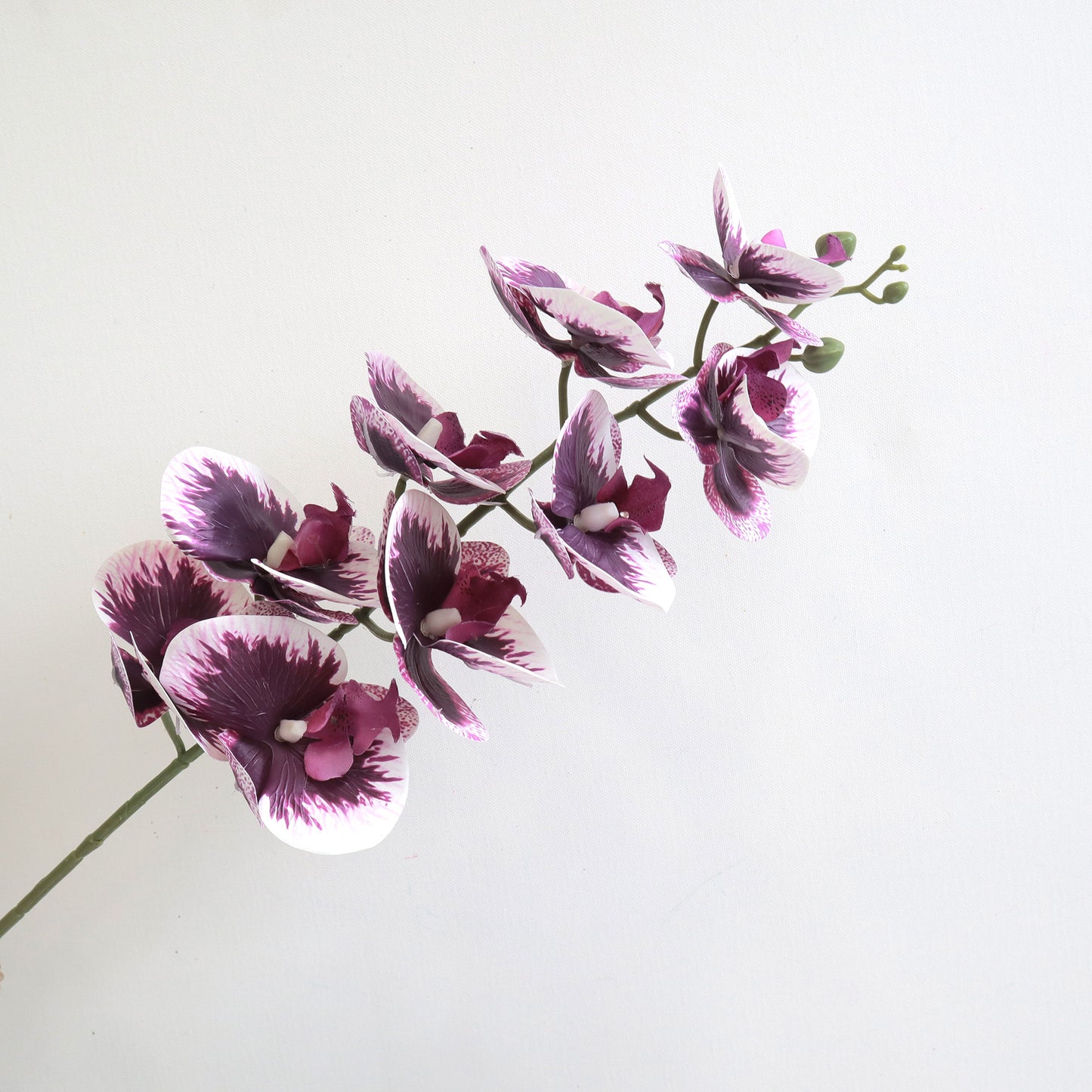 Artificial Phalaenopsis Orchid Purple