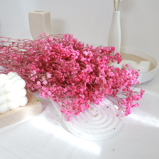Baby's Breath Hot Pink