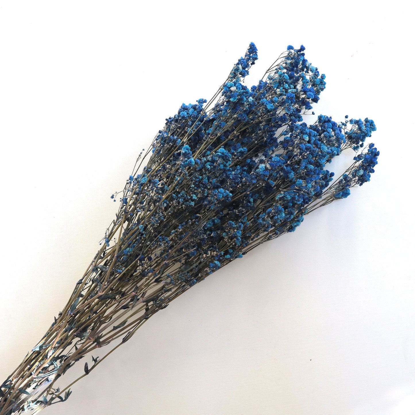 Baby's Breath Blue