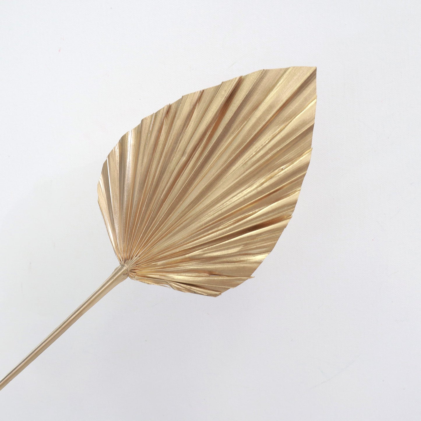 10 of Palm Leaf Small Gold