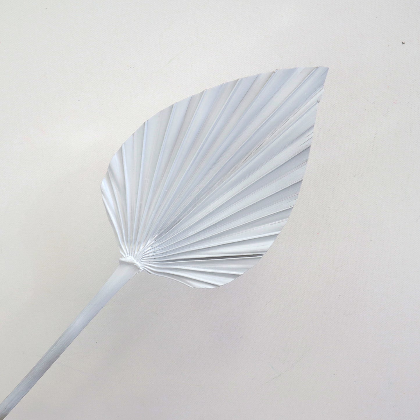 Palm Leaf Small Sprayed White