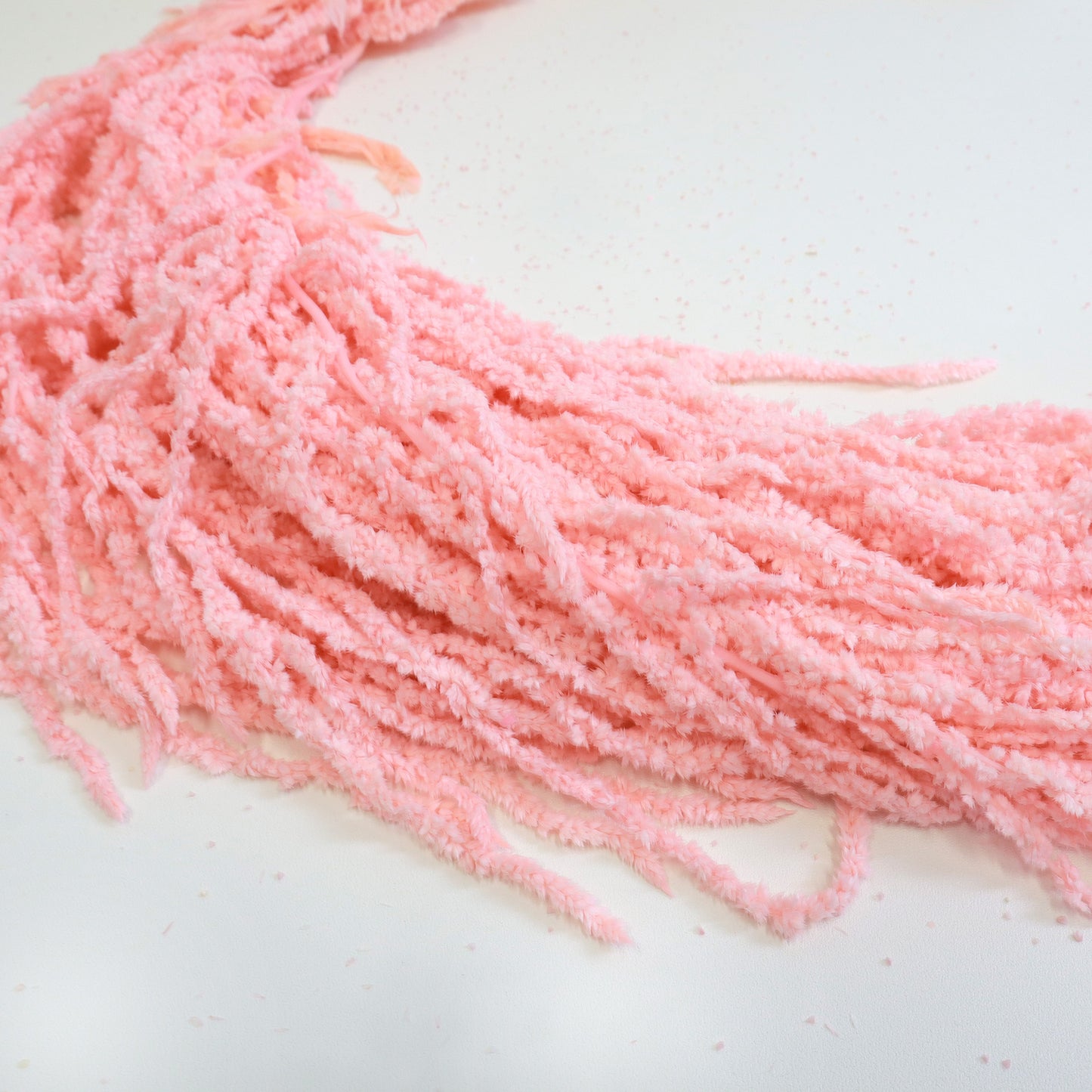 Amaranthus Pink