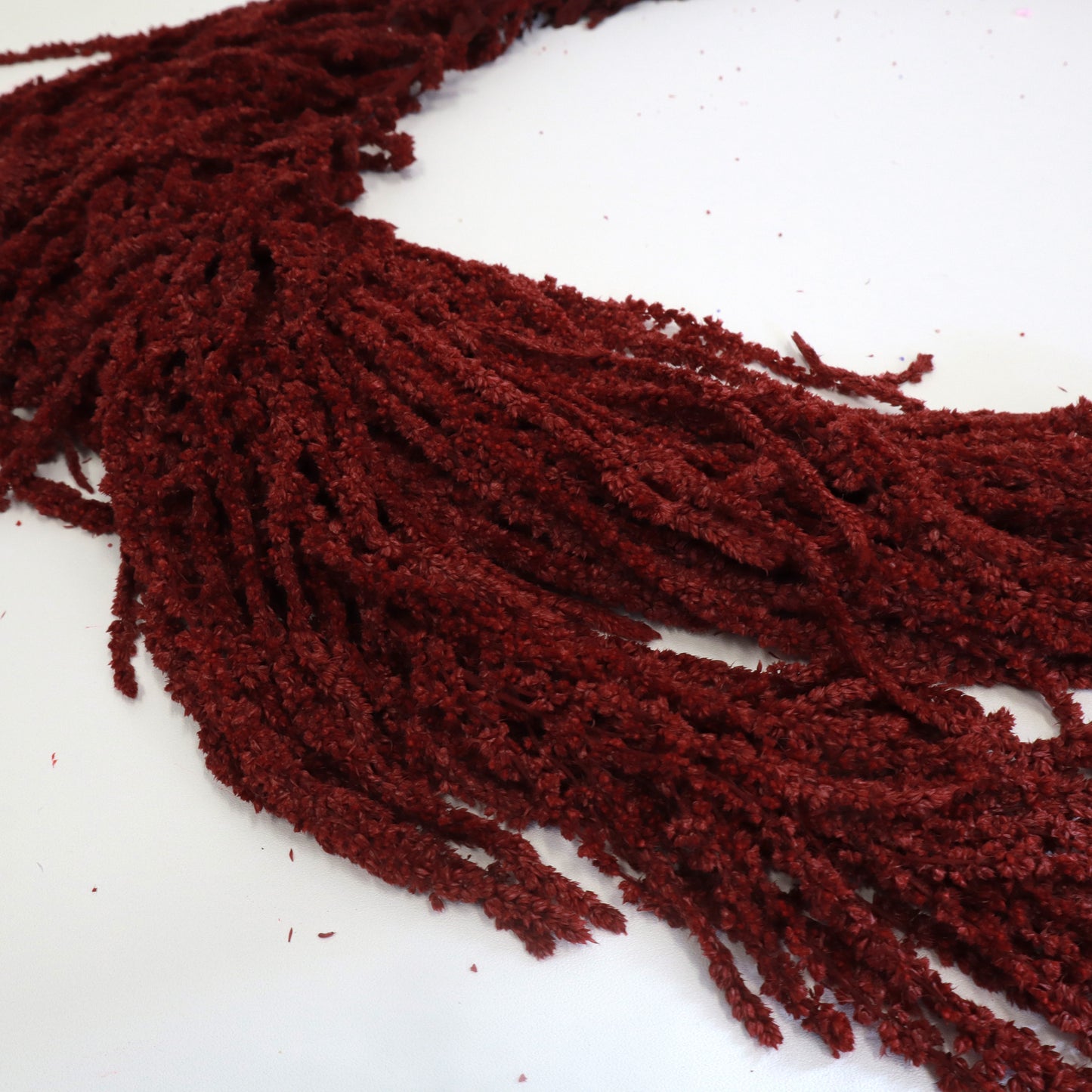 Amaranthus Dark Red