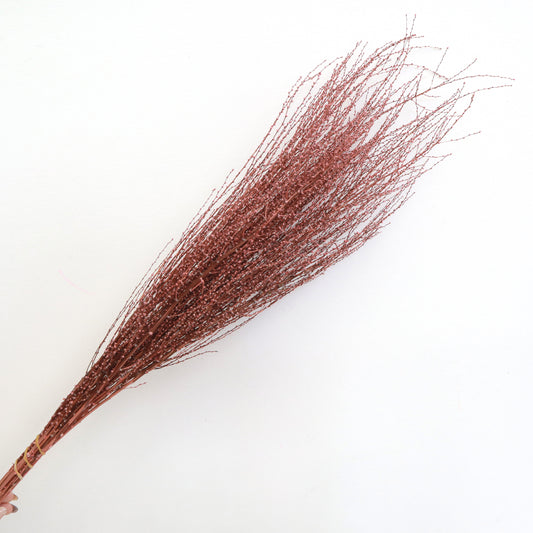 Snow Twig Red