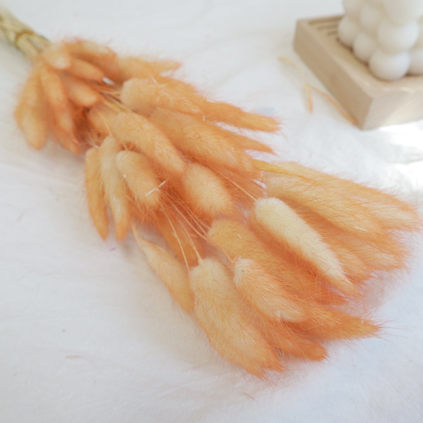 Bunny Tails Gradient Orange