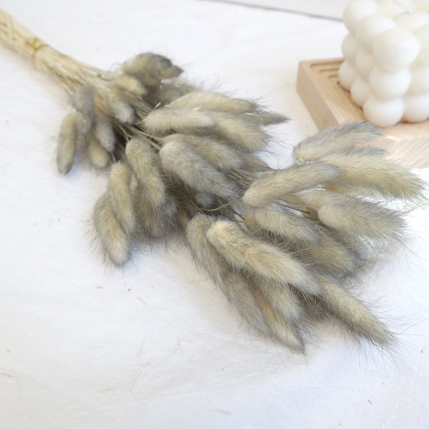 Bunny Tails Gradient Gray