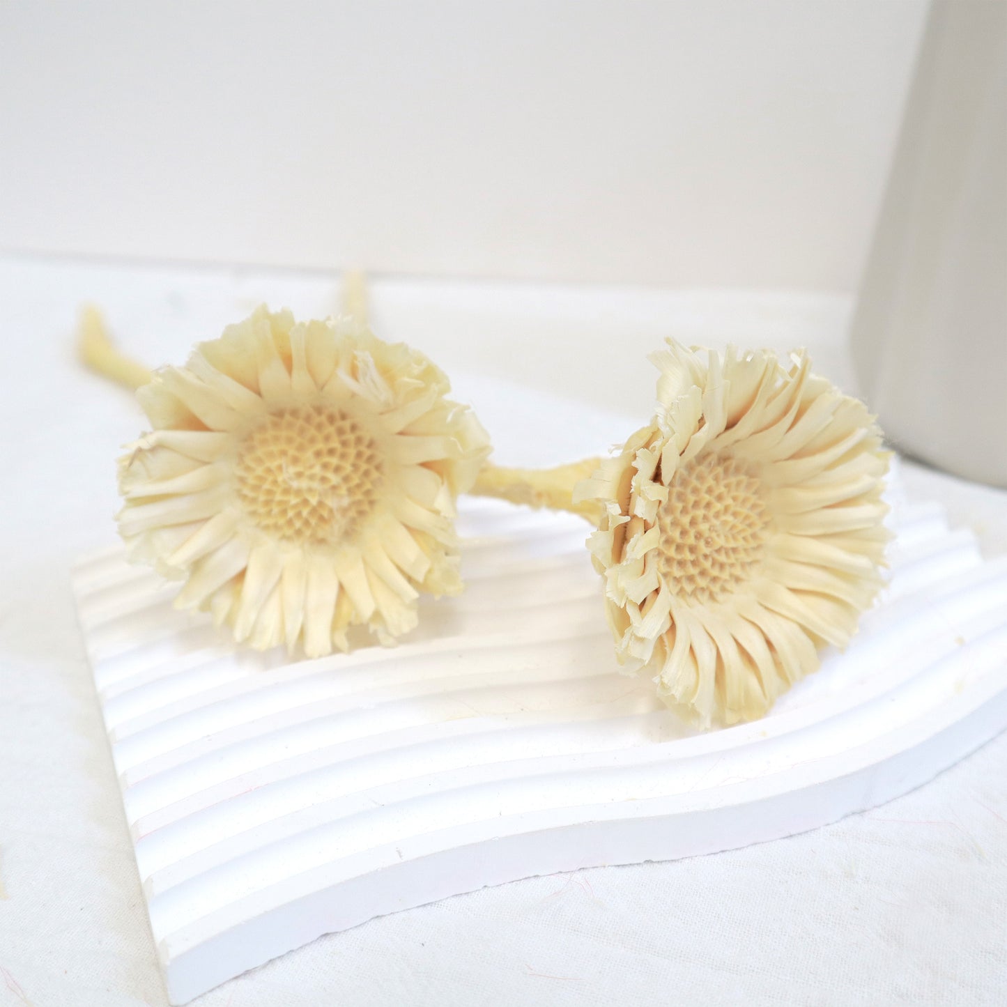 Quasi Sunflower White