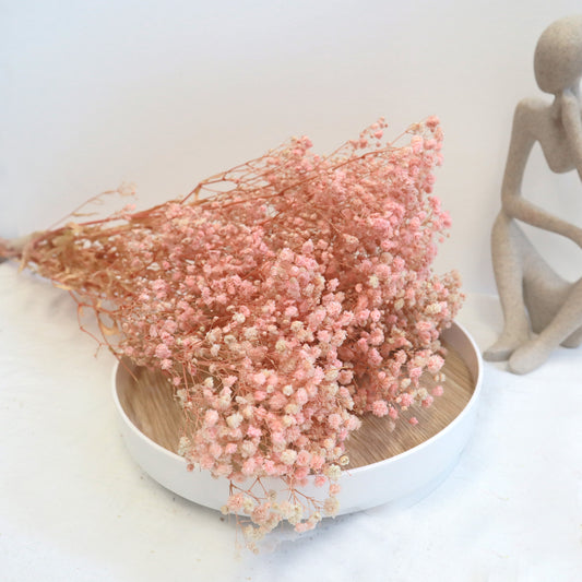 Baby's Breath Soft Pink