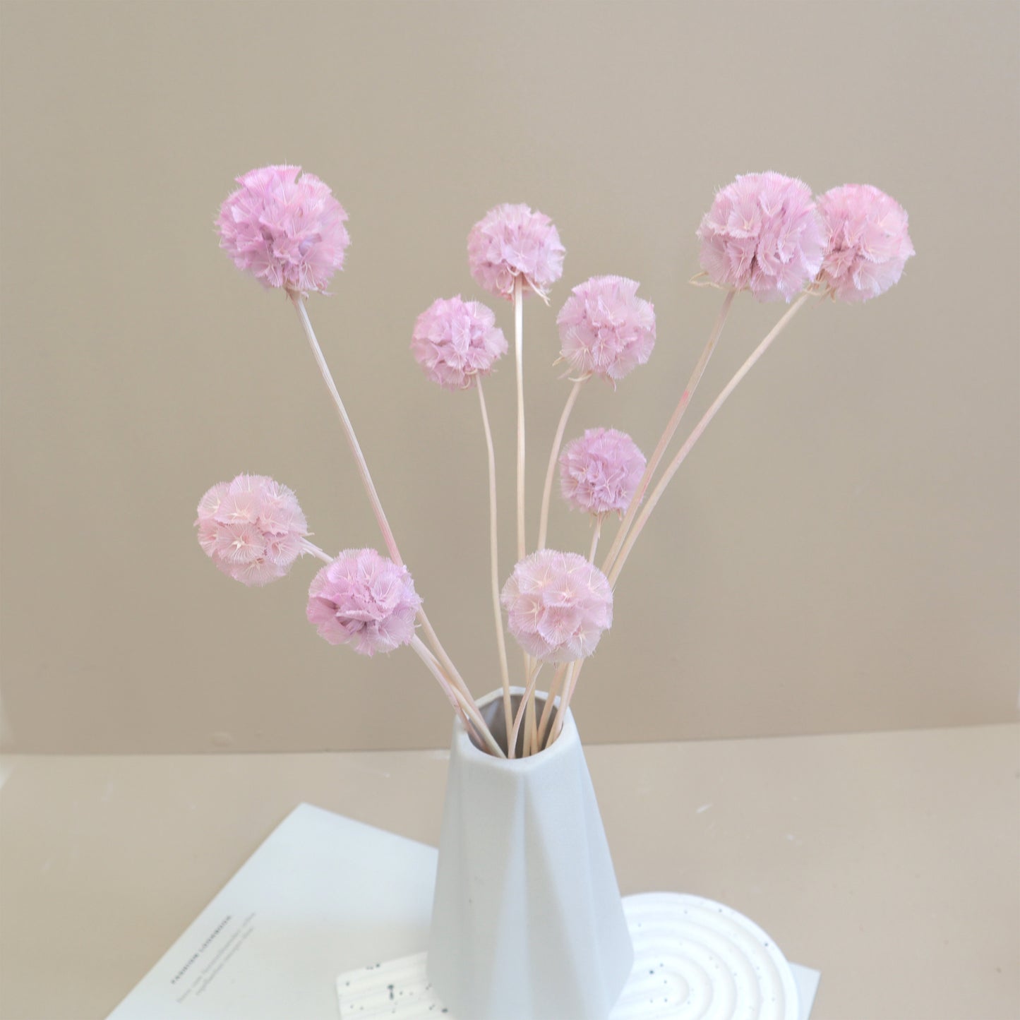 Scabiosa Light Mauve