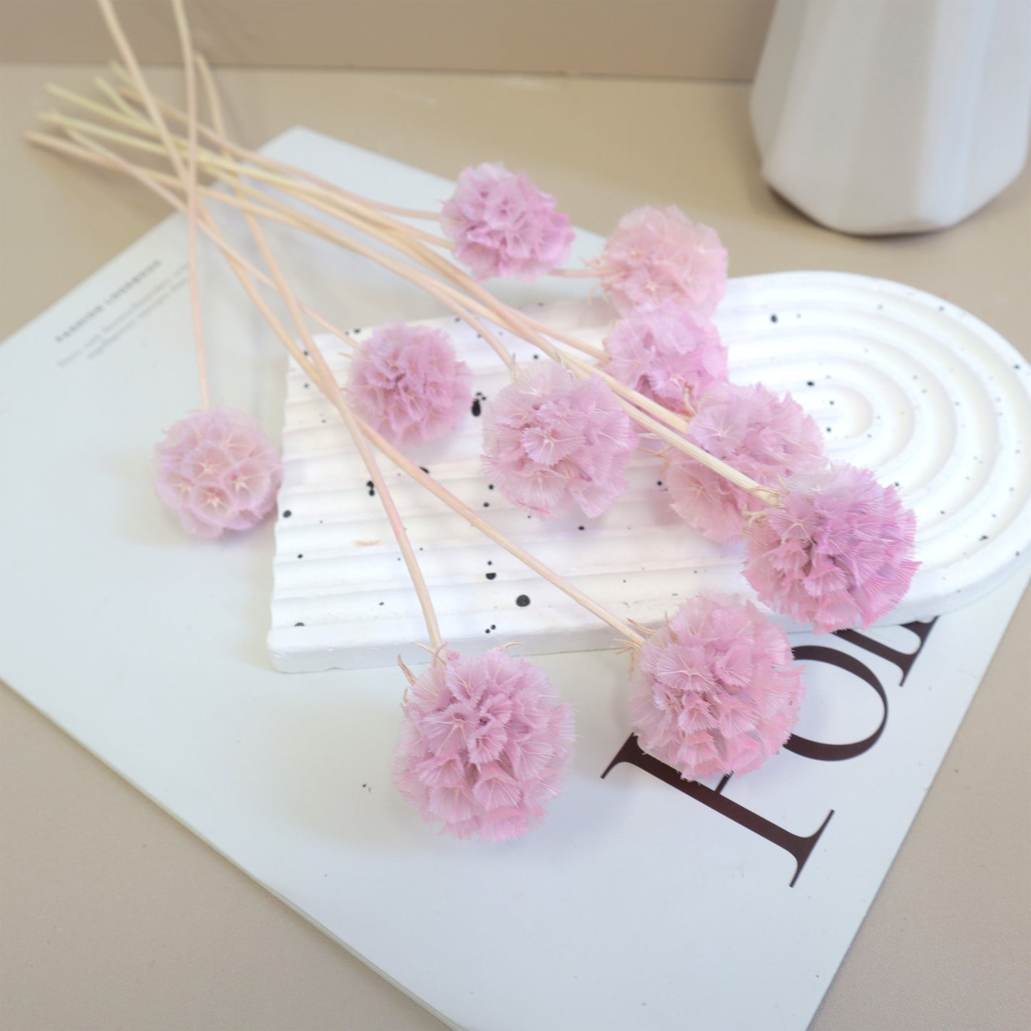 Scabiosa Light Mauve