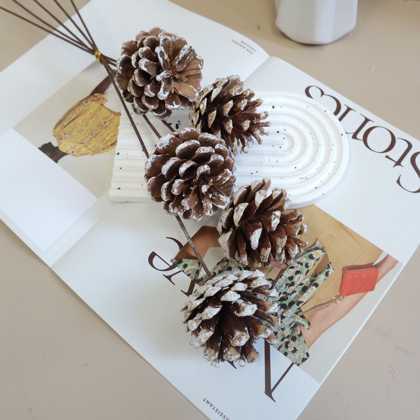 Snowy Pine Cones