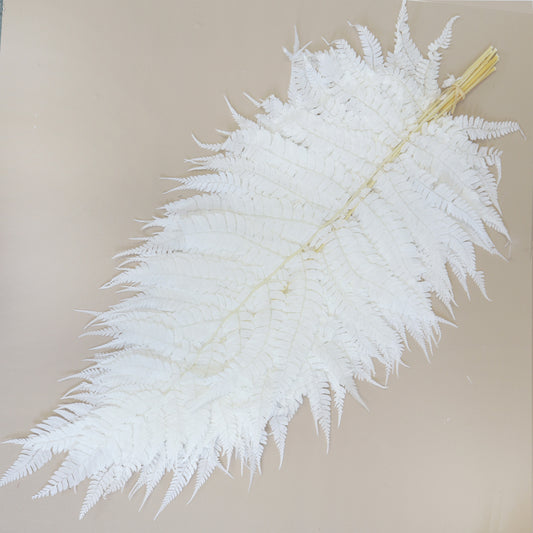 Leather Fern Large Pure White