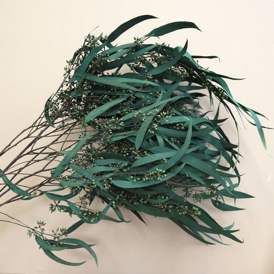 Seeded Gum – Floral Forest Wholesale