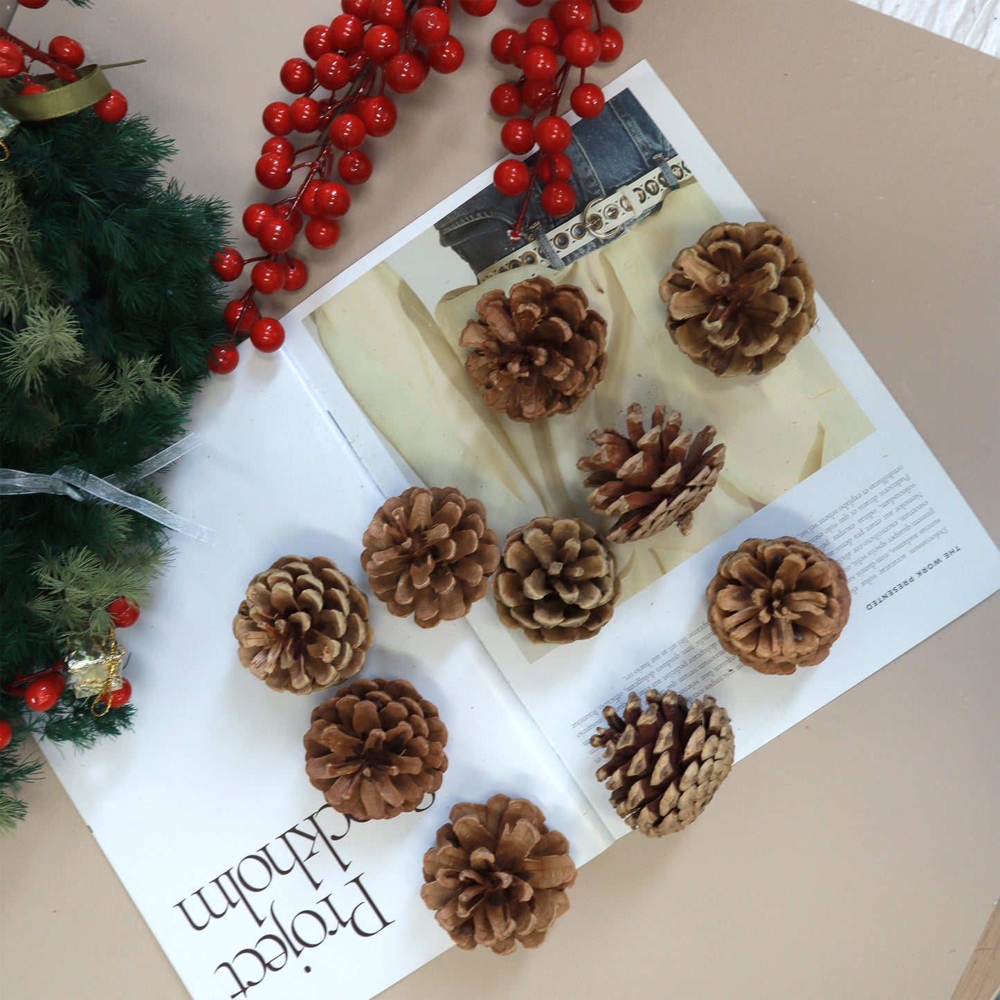 Pine Cone Heads