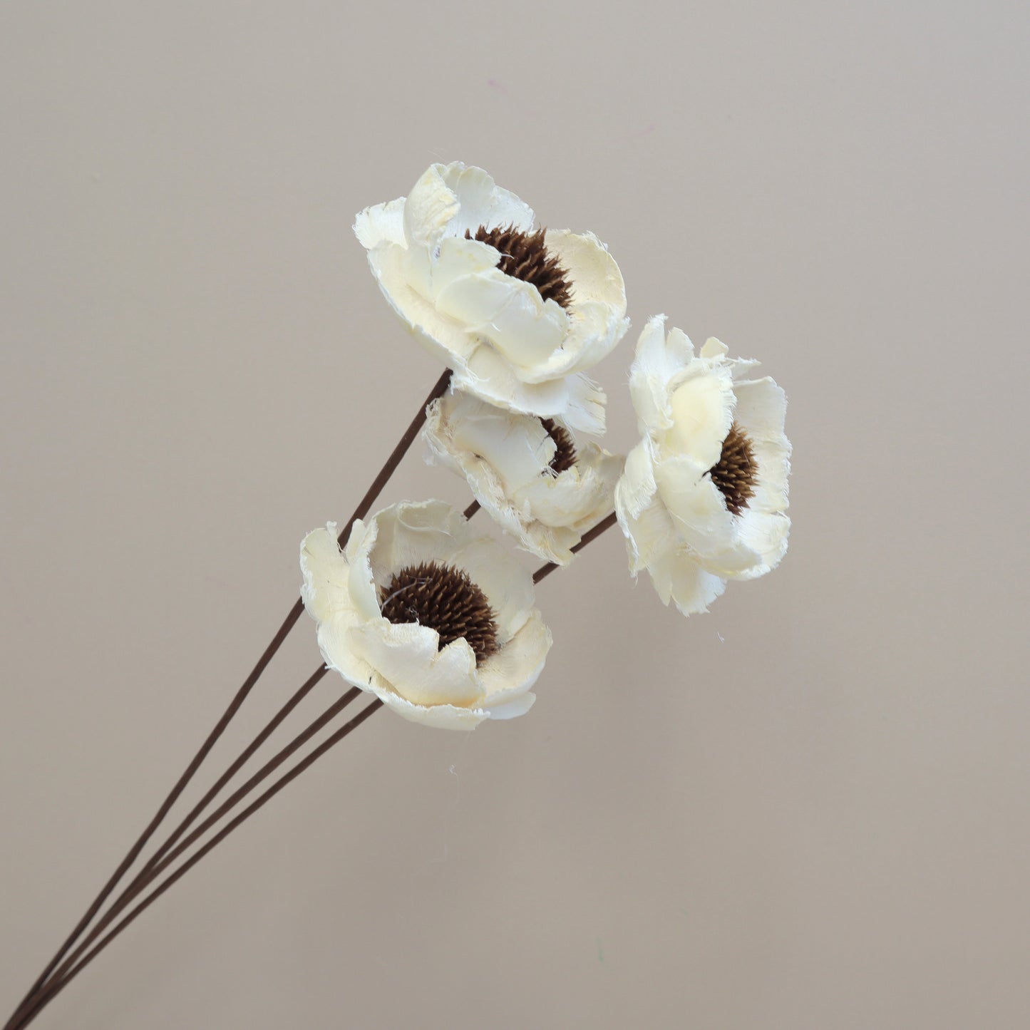 Handmade Poppy White