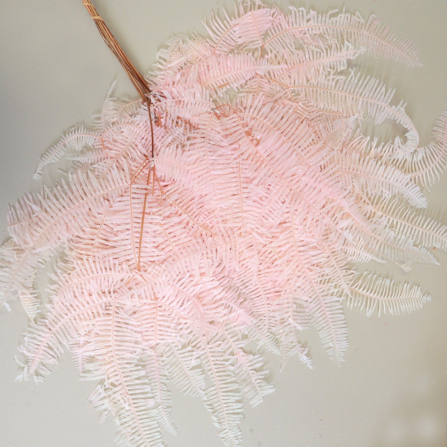 Mountain Fern Pink