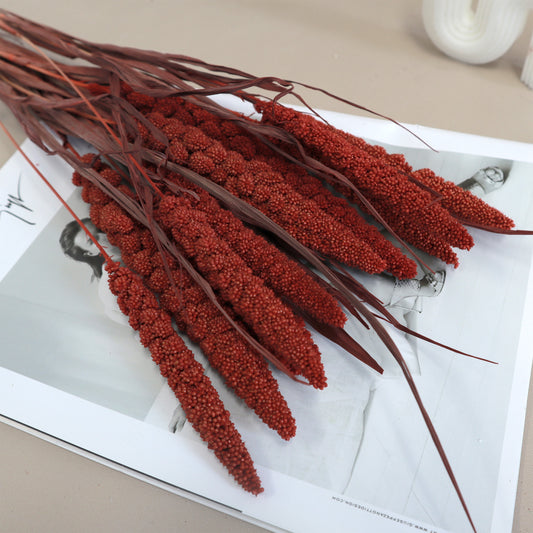 Dried Millets Red