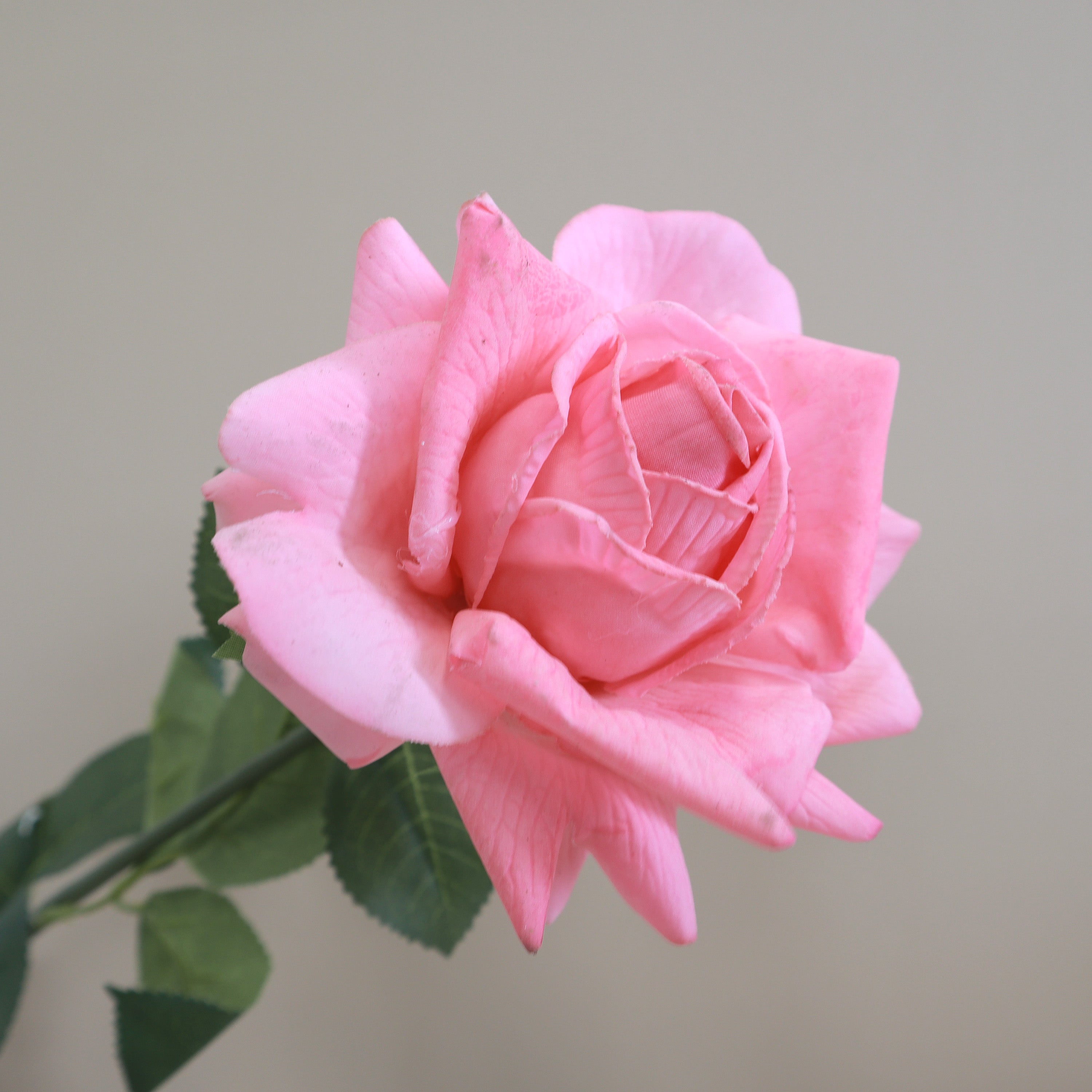 Pink Roes Real Artificial Rose – Floral Forest Wholesale