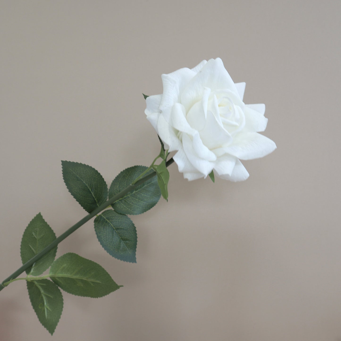 10 of Artificial Real Touch Rose White
