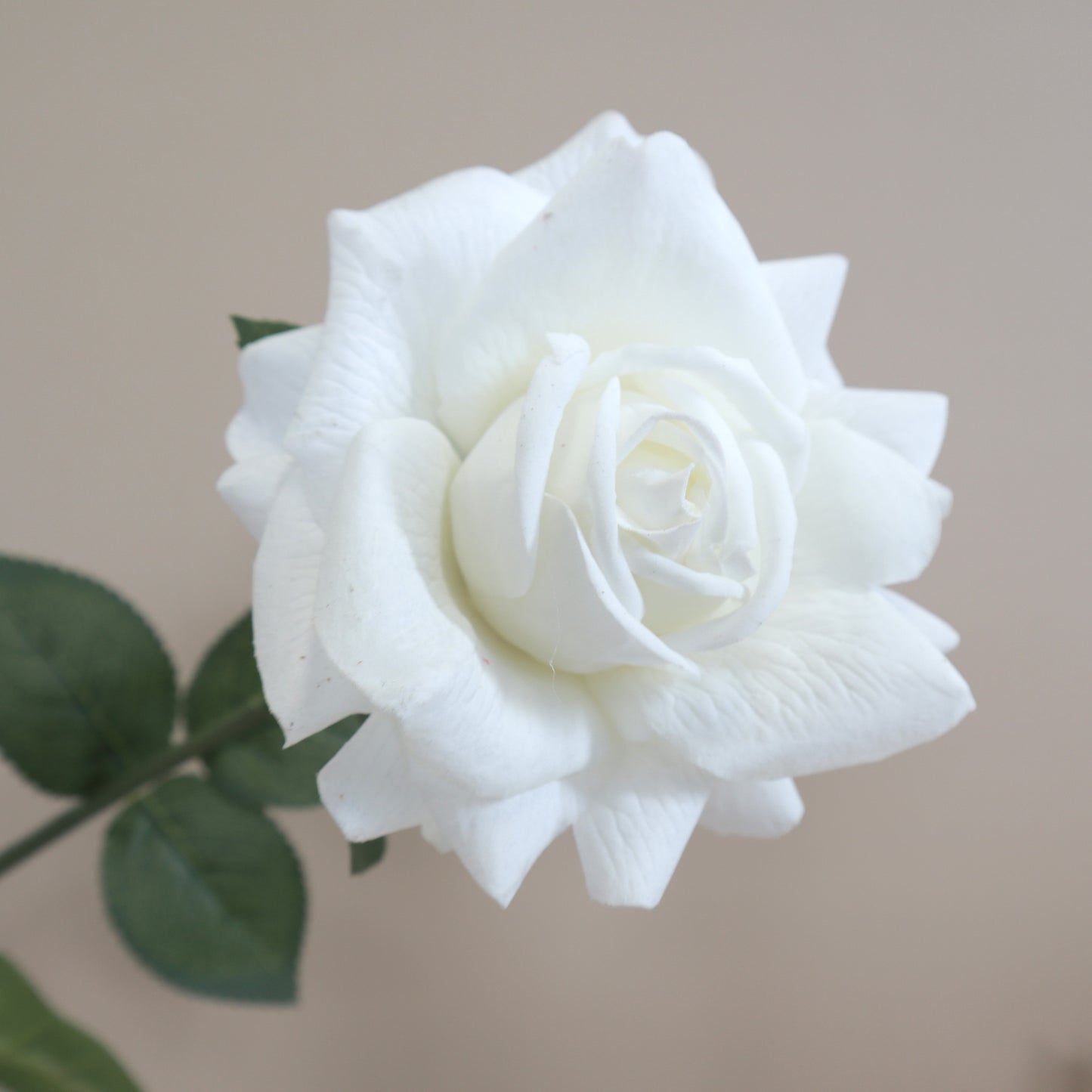 Artificial Real Touch Rose White