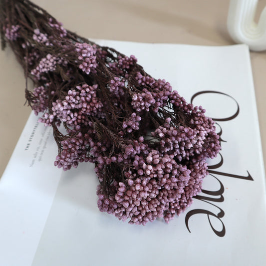 Rice Flower Purple