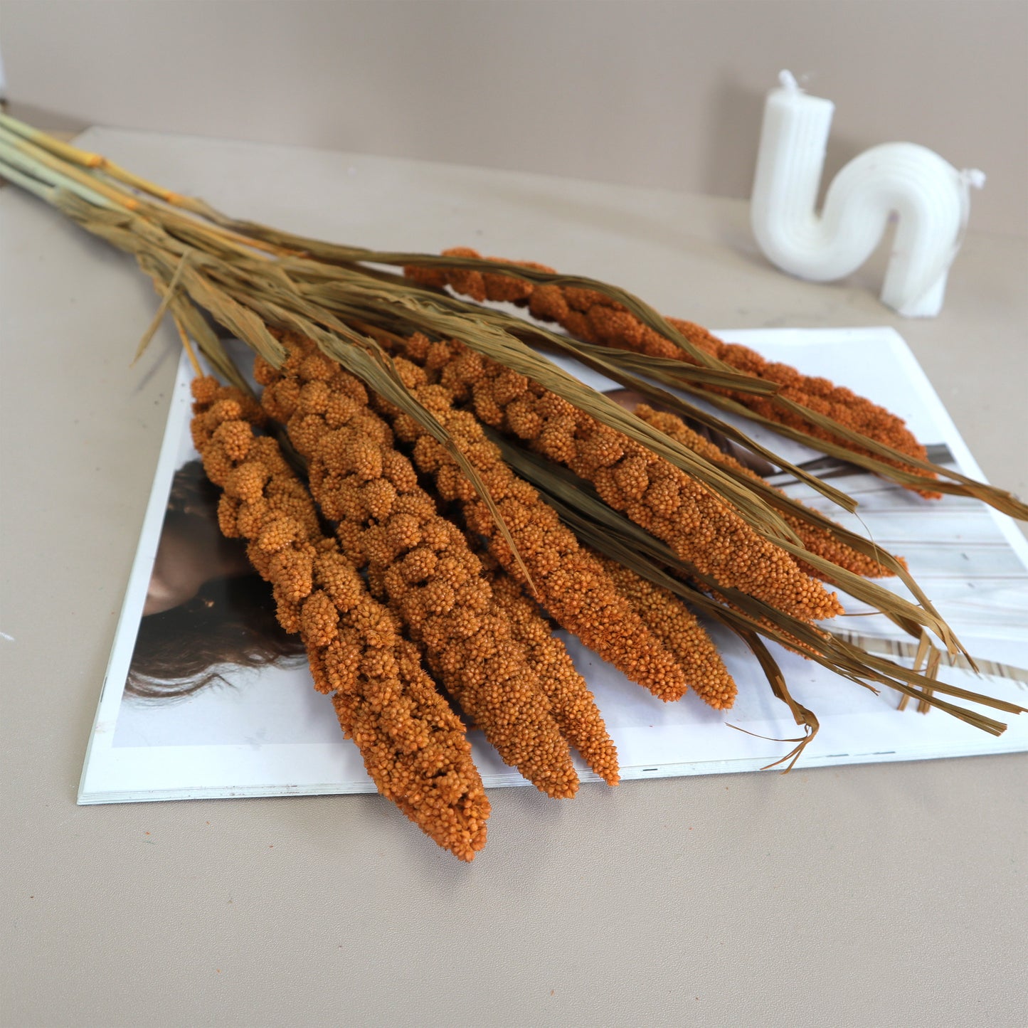 Dried Millets Rust Orange