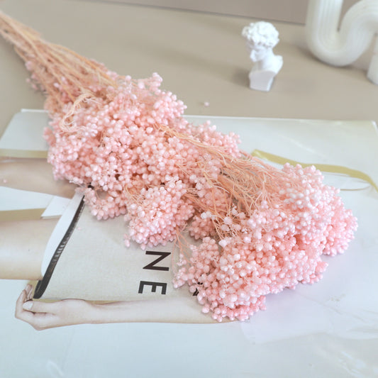 Rice Flower Blush Pink