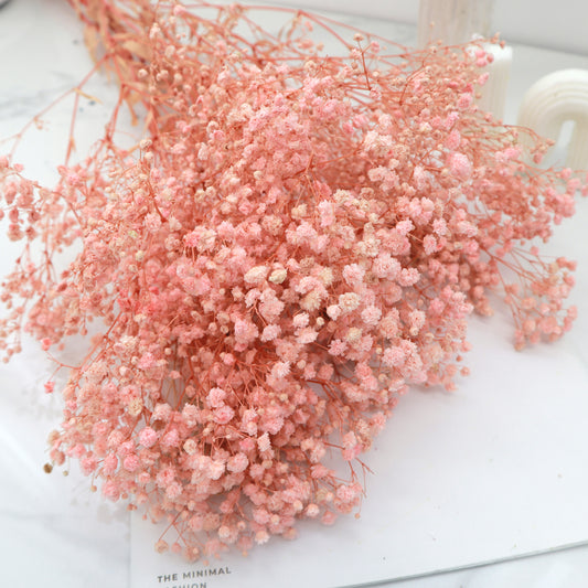 10 Bunches of Baby's Breath Soft Pink