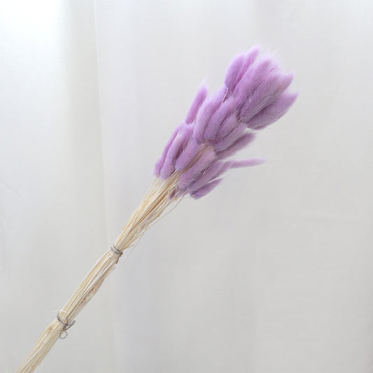Bunny Tails Lilac