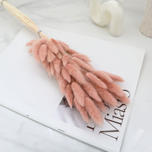 Bunny Tails Salmon Pink