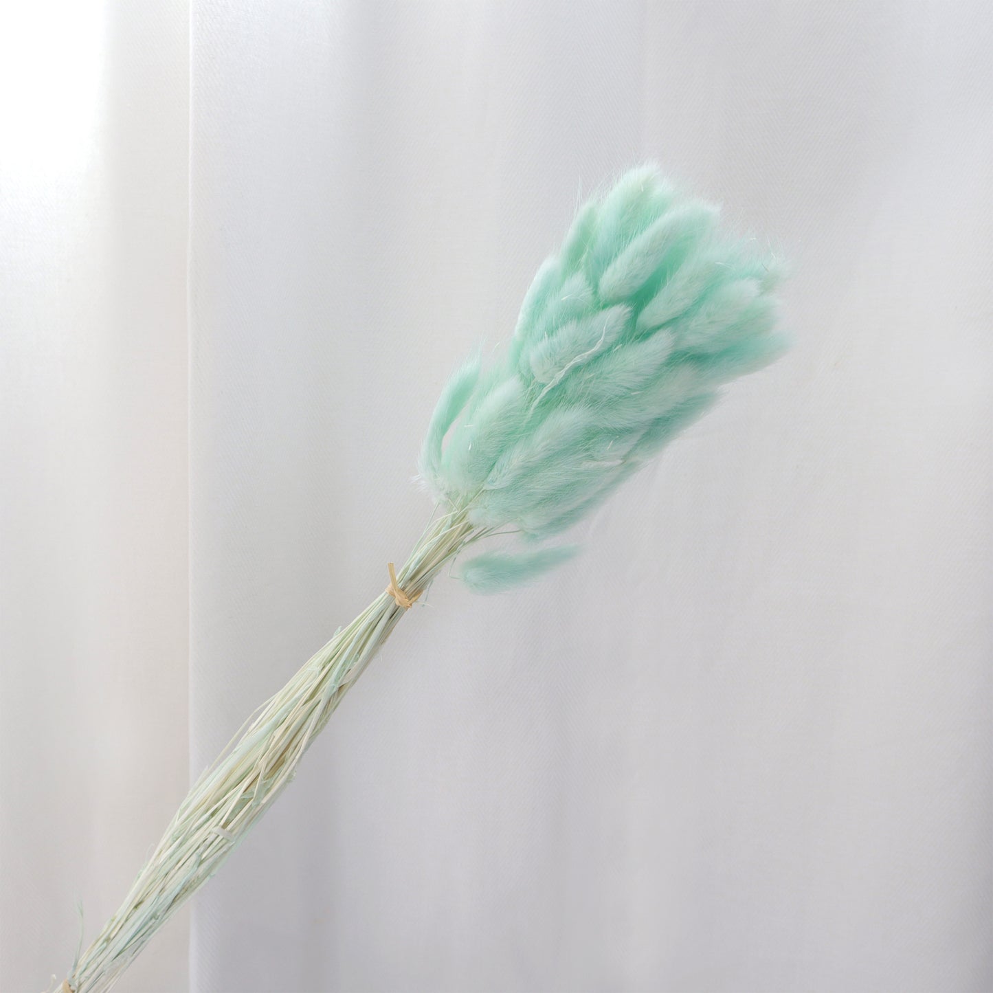 Bunny Tails Turquoise