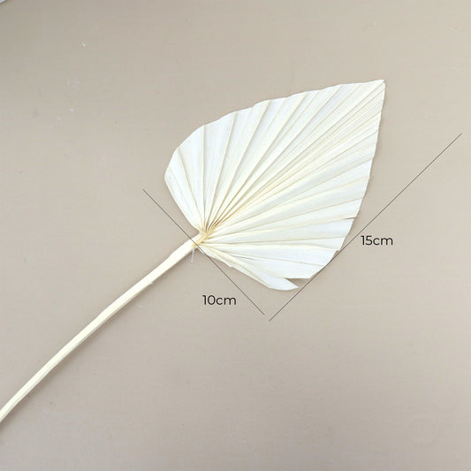 Palm Leaf Small Bleached White
