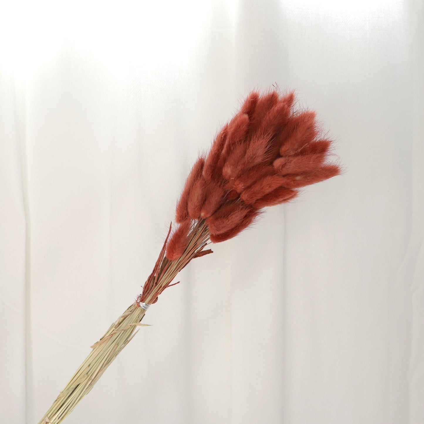 Bunny Tails Vintage Red