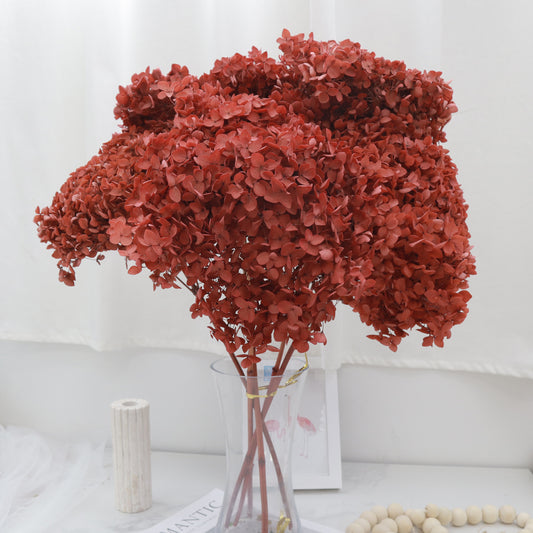 40 Stems of Hydrangea Vintage Red