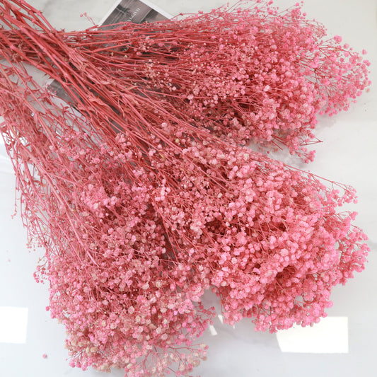 10 Bunches of Baby's Breath Hot Pink