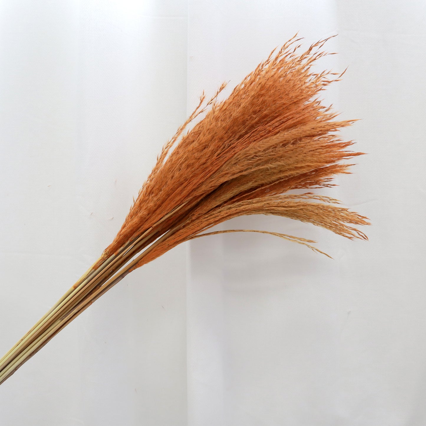 Soft Horsetail Burnt Orange