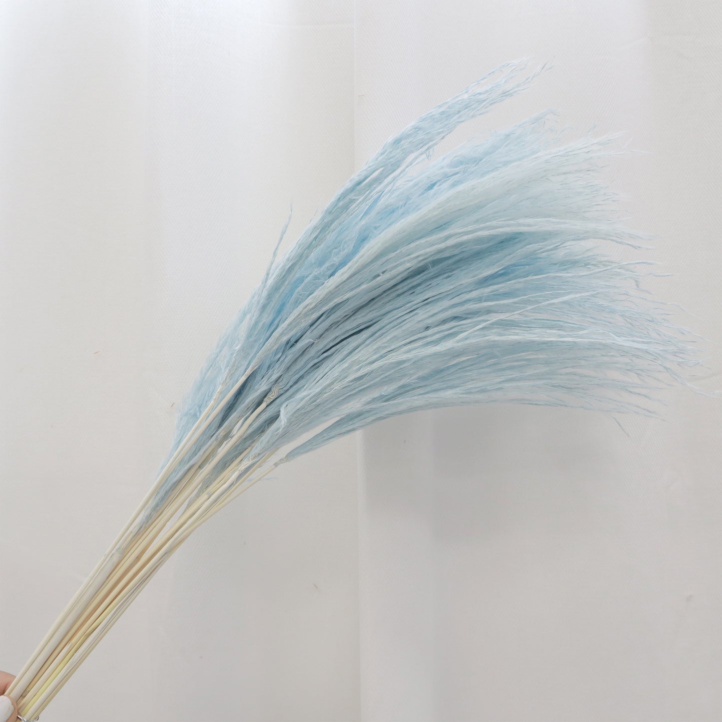 Soft Horsetail Baby Blue