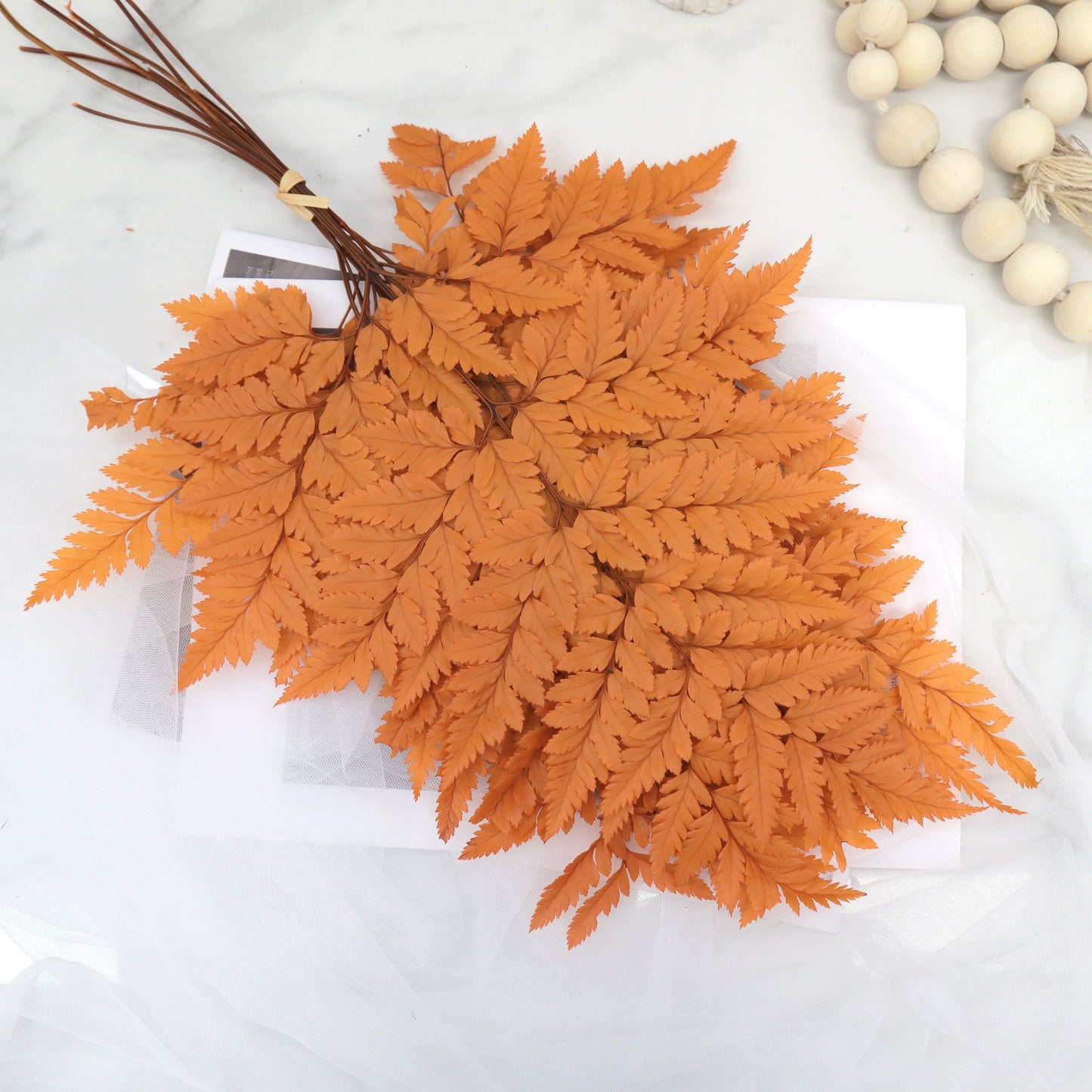 Leather Fern Small Orange