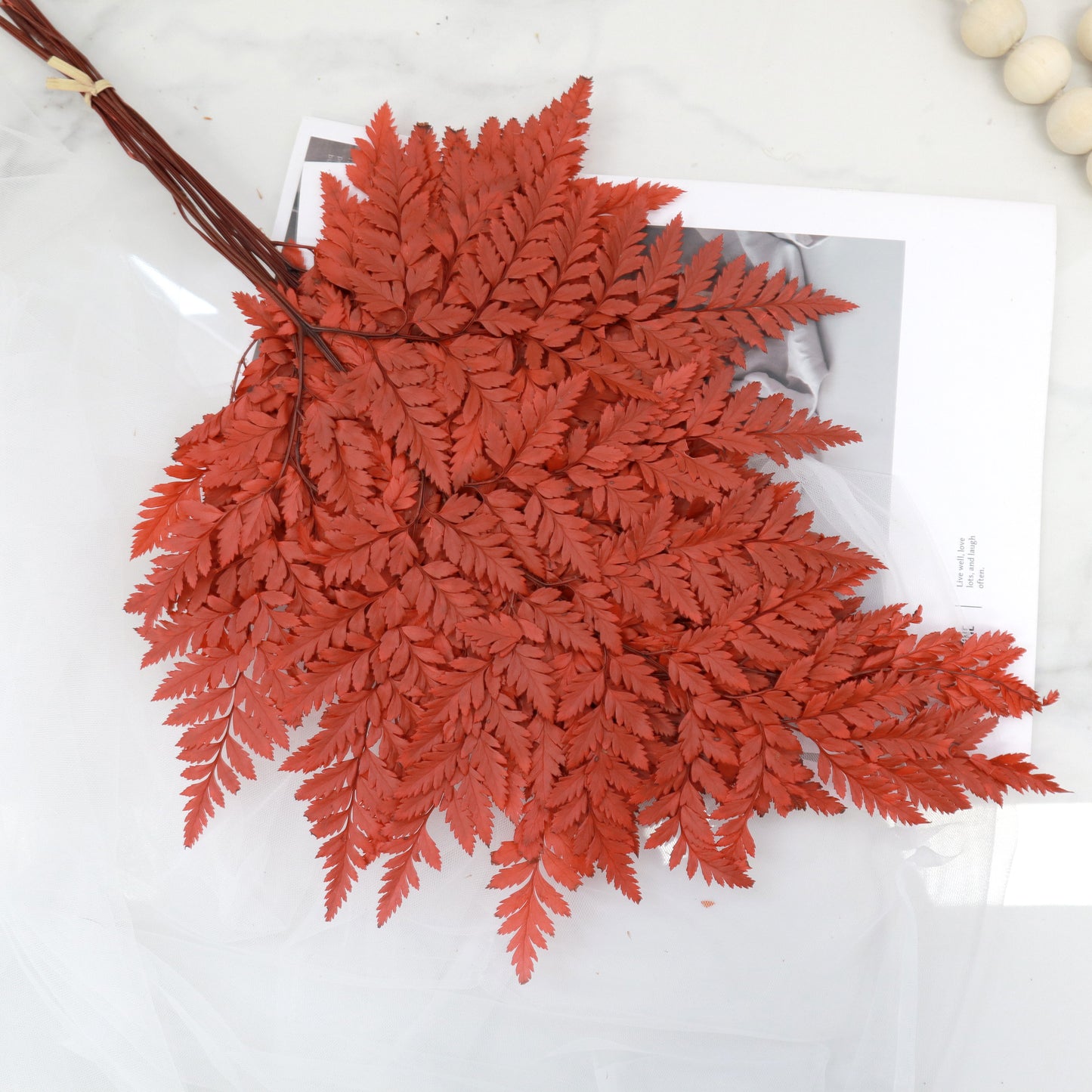 Leather Fern Small Red