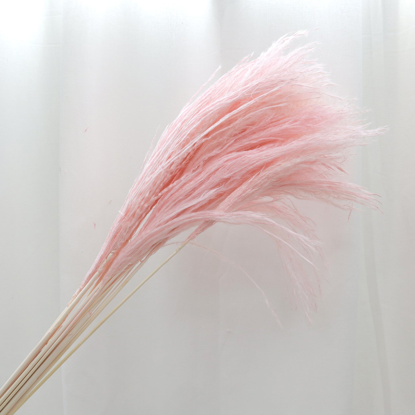 Soft Horsetail Baby Pink