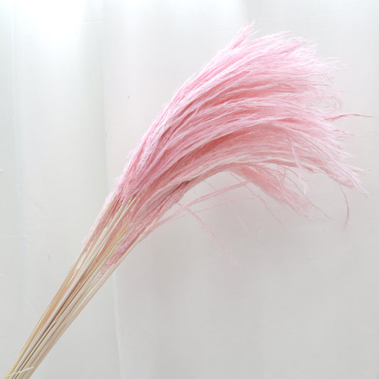 Soft Horsetail Pink