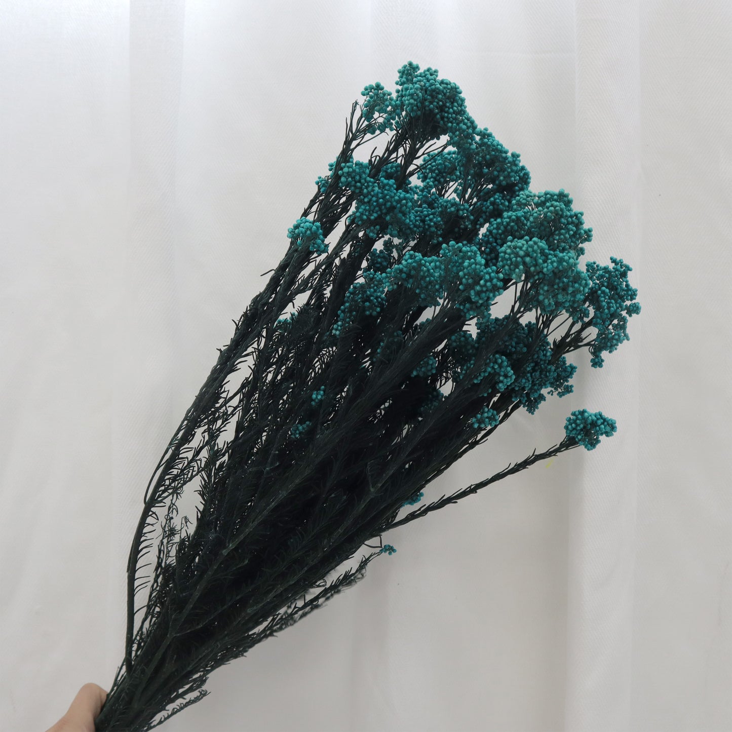 Rice Flower Teal Blue