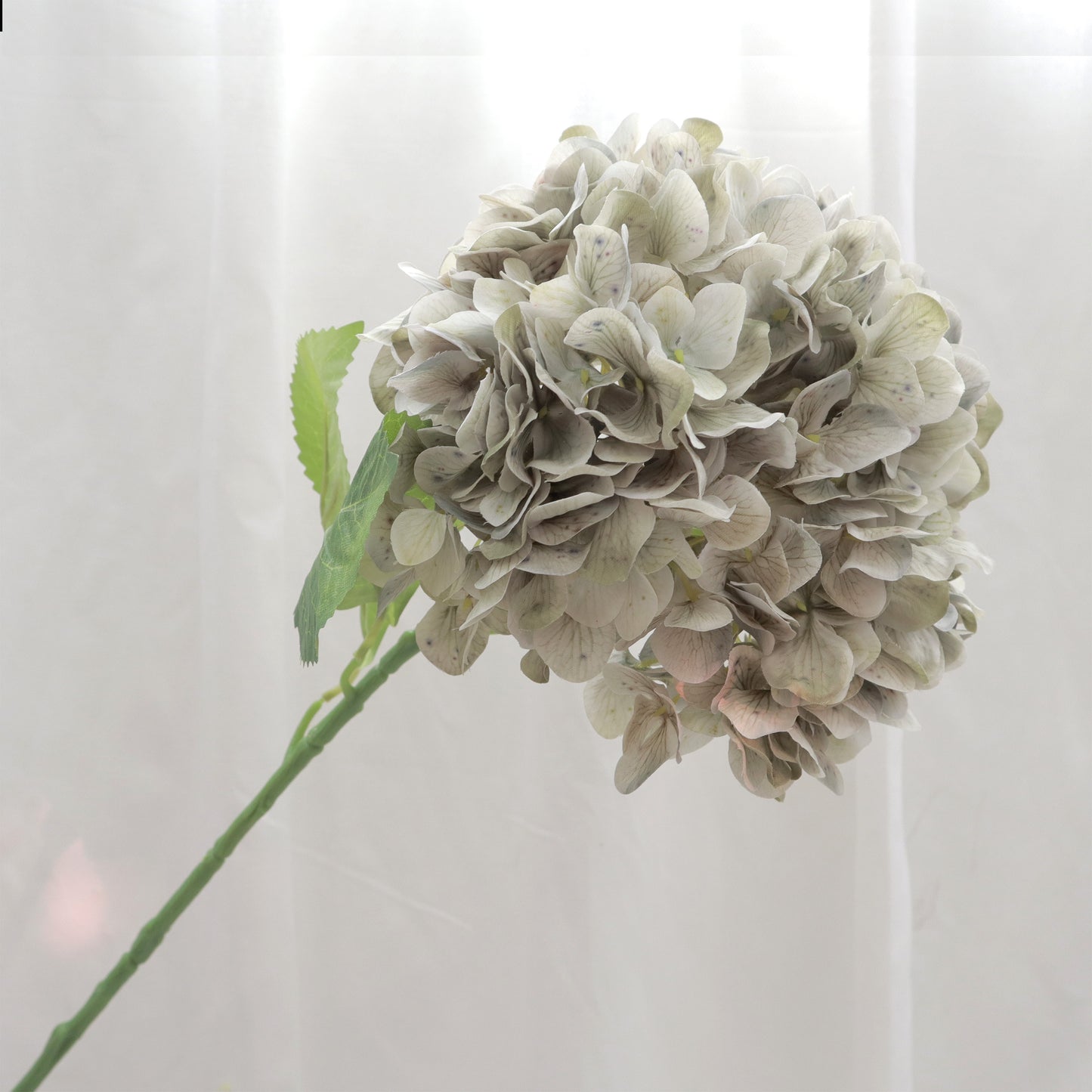 Silk Artificial Hydrangea Natural