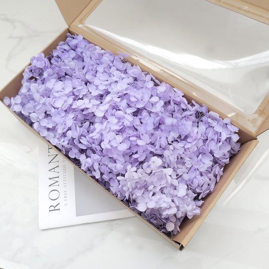Annabelle Hydrangea 100g Box Lavender