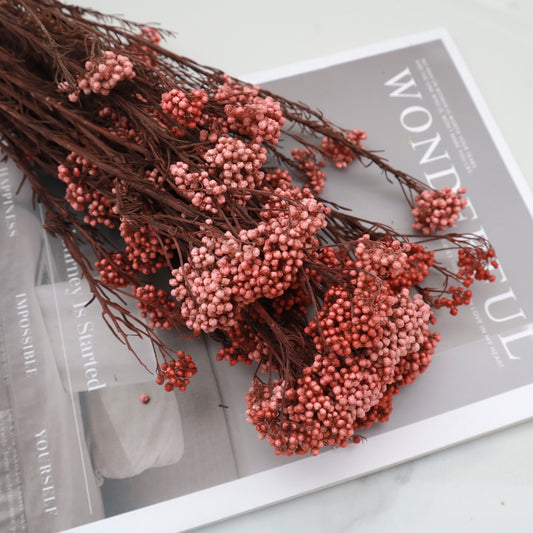 Rice Flower Coral Red
