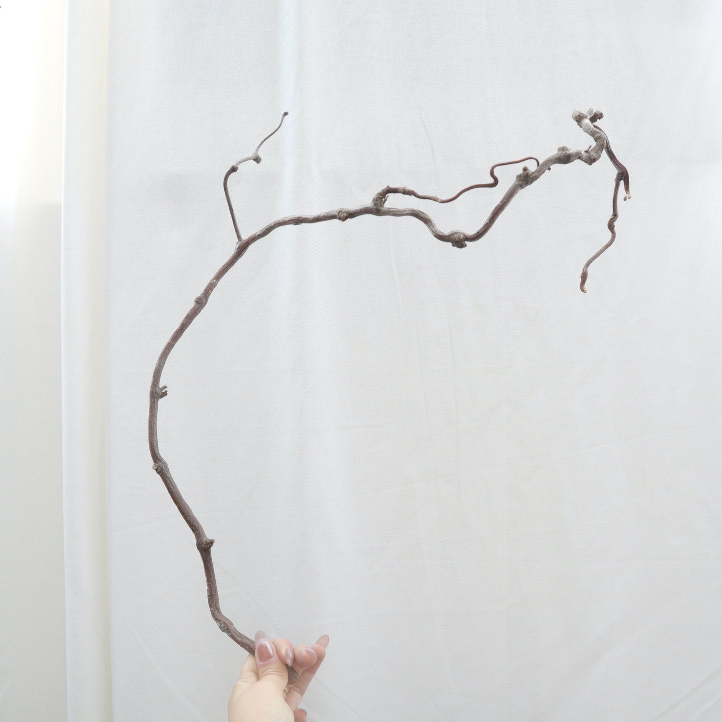Natural Curly Twig Long