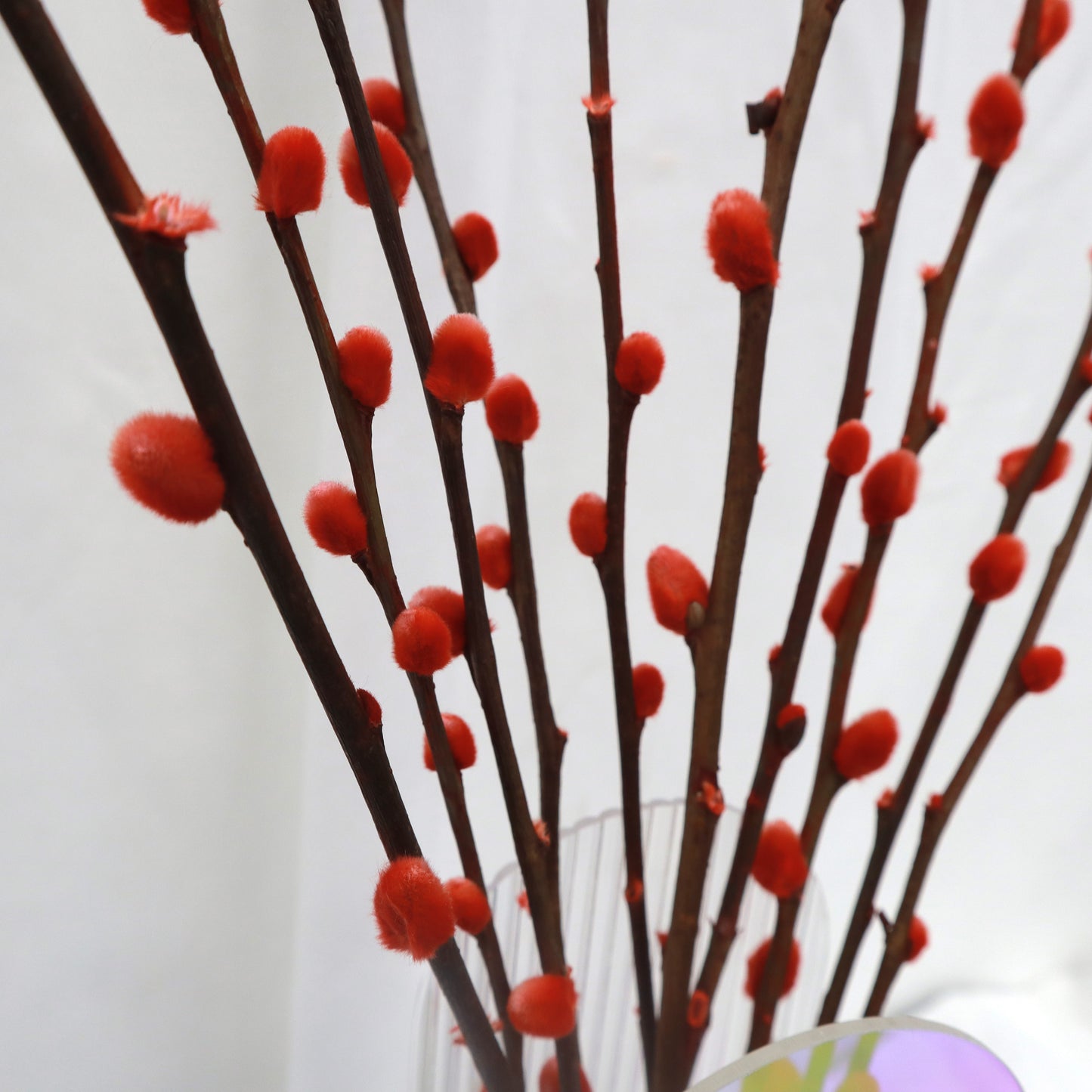 Blossom Sticks Red