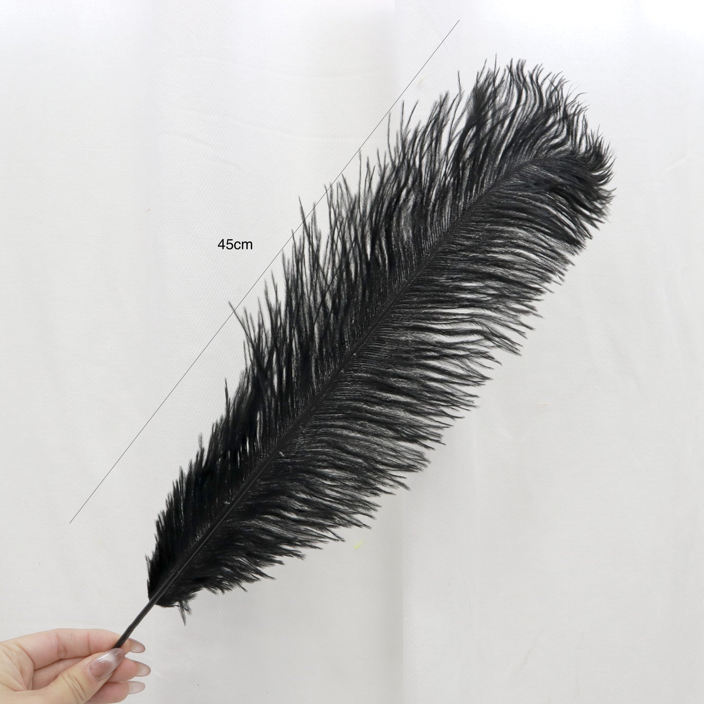 5 pcs Ostrich Feathers Black